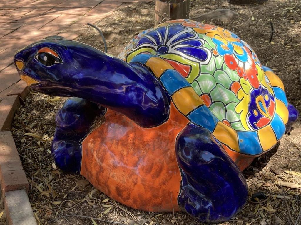 Casa Azul - Cute Centrally Located Adobe With Large Fenced Outdoor Living For Pets And Adults, Non-Smoking Tucson Eksteriør billede