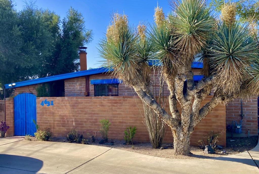Casa Azul - Cute Centrally Located Adobe With Large Fenced Outdoor Living For Pets And Adults, Non-Smoking Tucson Eksteriør billede